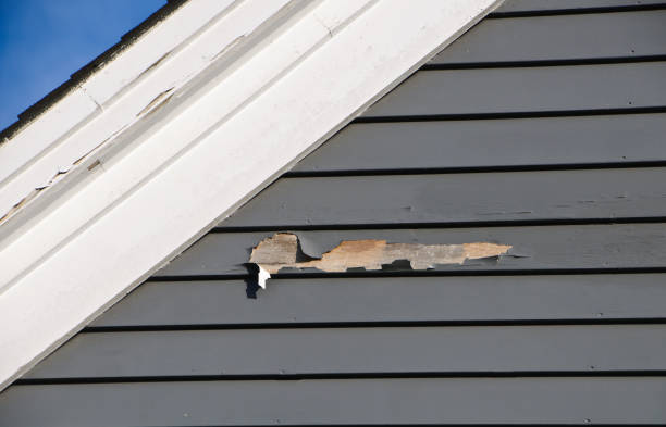 Best Steel Siding Installation  in Wahese, NC